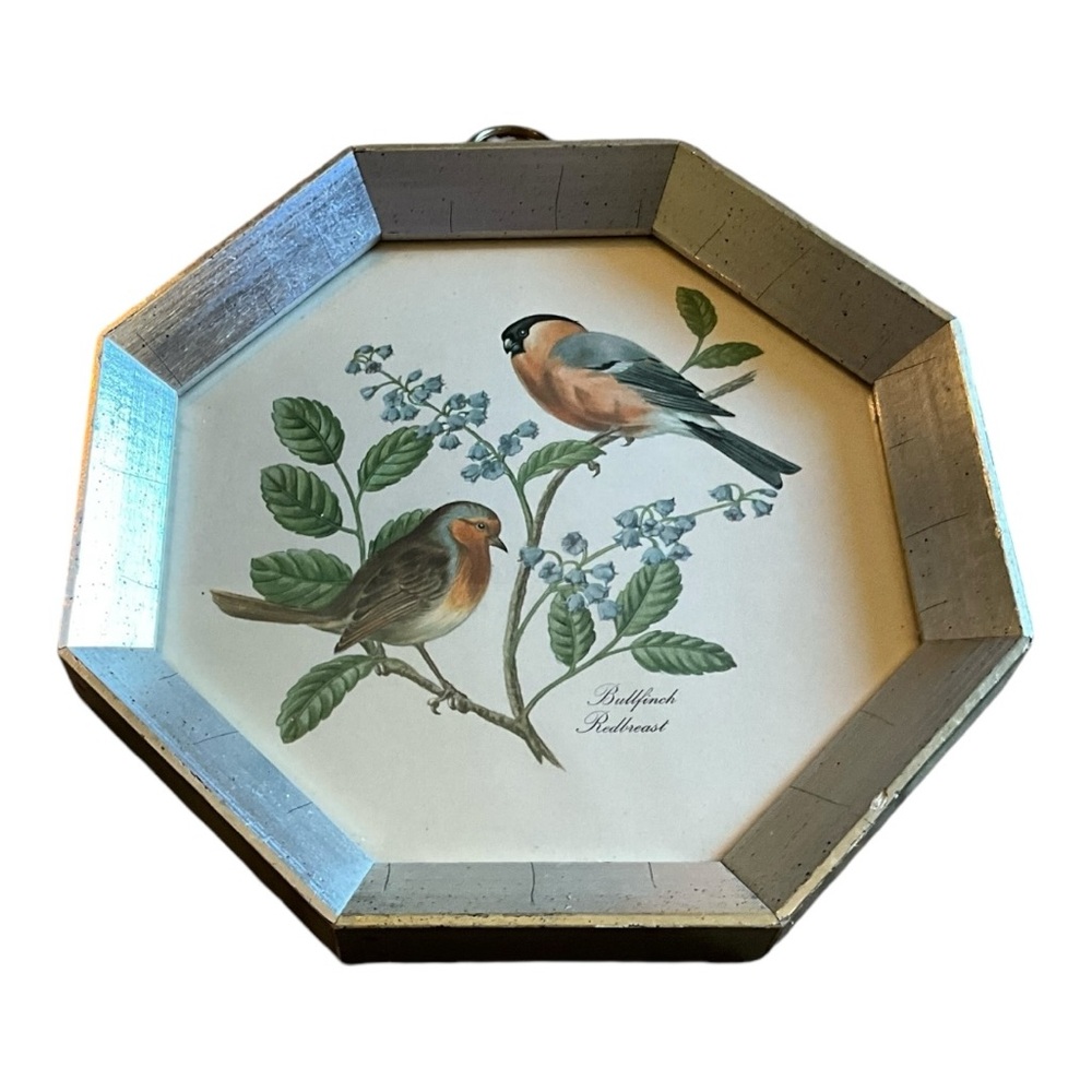 Vintage Hexagon Framed Bird Pictures - Picture 5 of 8